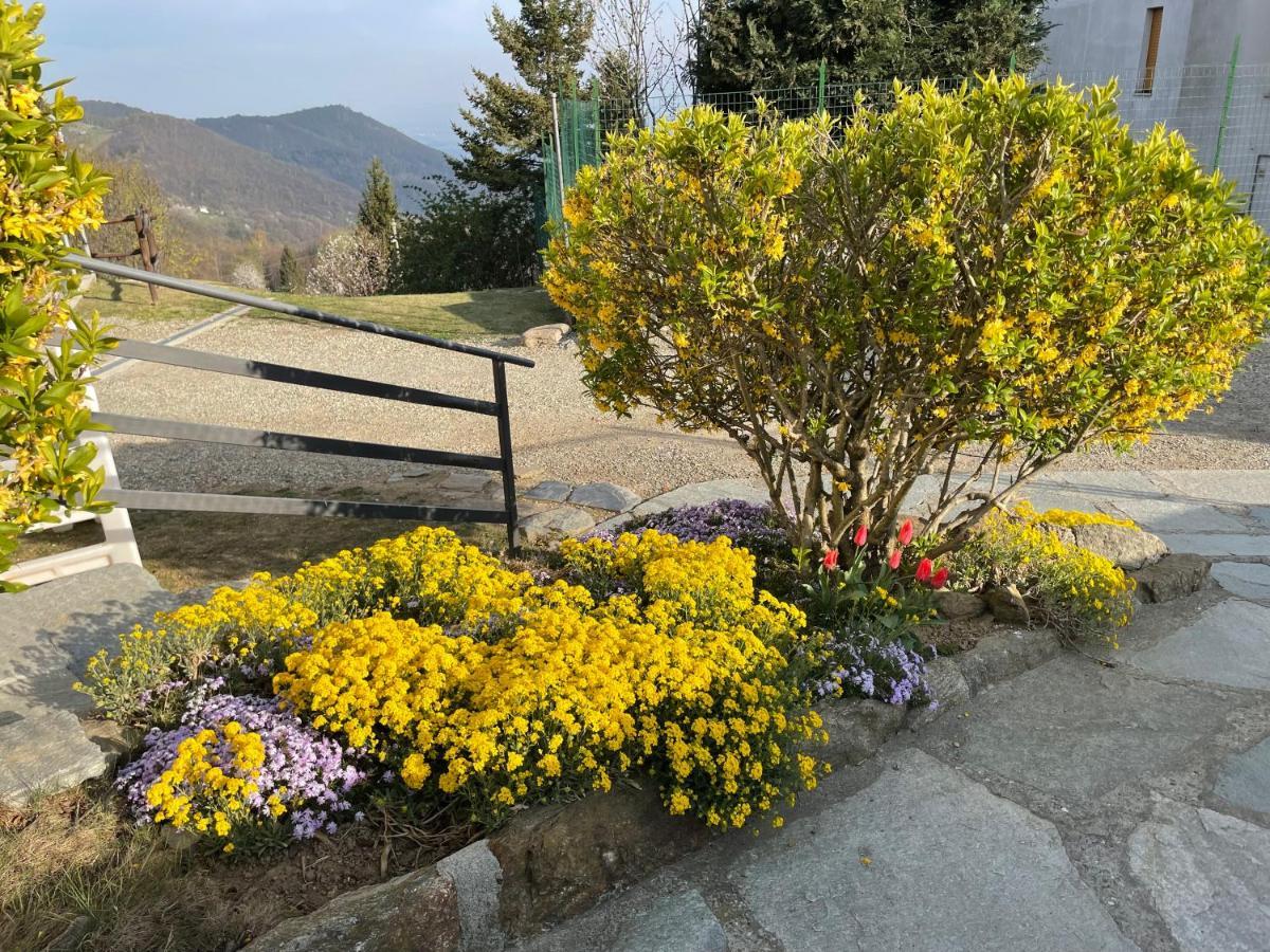 Camere Villa Lunardini Frassinetto  Kültér fotó